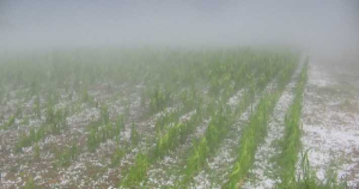 Uruguay profundiza adopción de seguros agrícolas climáticos