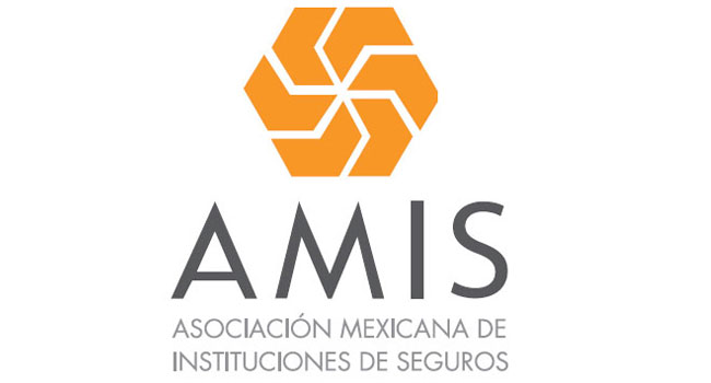 AMIS resalta la importancia de aprovechar las oportunidades digitales
